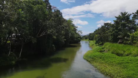 following a clear water crocodile infested creek in far north tropical queensland