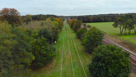 aerial: forest with railway track and electric line in rural developing forested area - drone flying shot