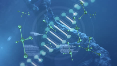 animación de la cadena de adn y las moléculas a través del procesamiento de datos