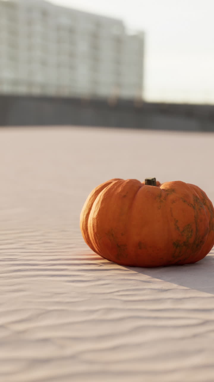 una sola calabaza naranja sobre un fondo blanco