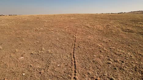 single animal path in a harsh farmland, evoking nostalgia and solitude in a serene landscape with the aid of a drone