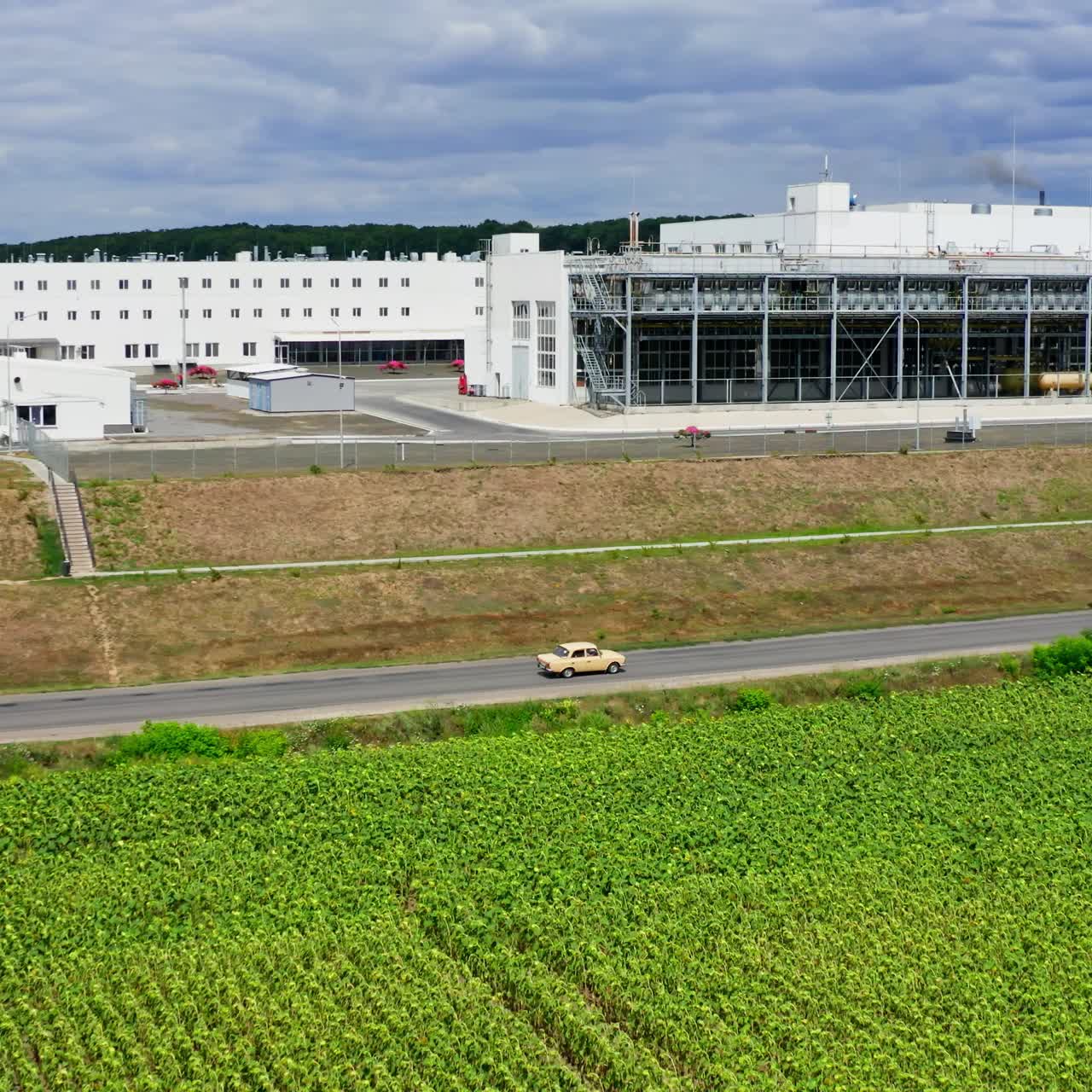 Newly built factory in the field. White roofs of industrial buildings. Agricultural concept. Drone video