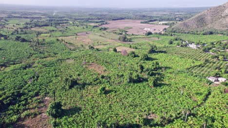 aerial view of vast farm lands in neiba, dominican republic