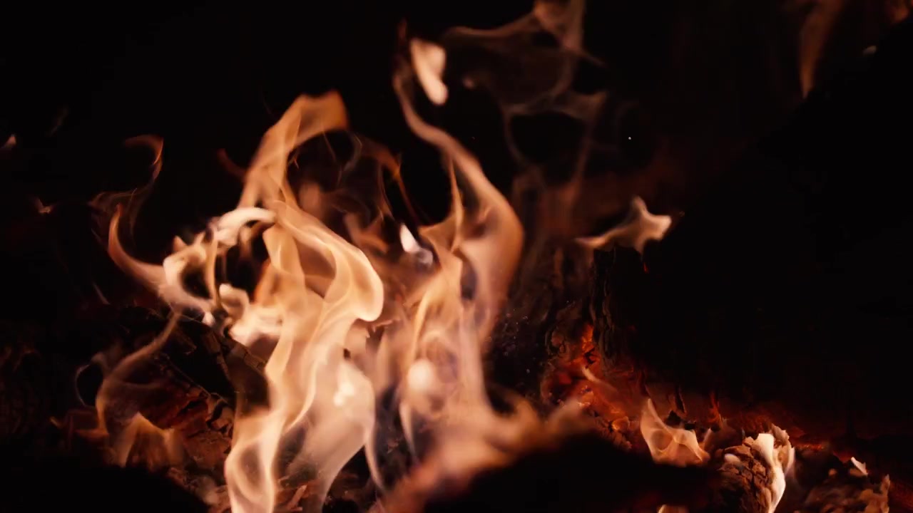 Primo piano di fiamme calde di falò che ardono luminose di notte