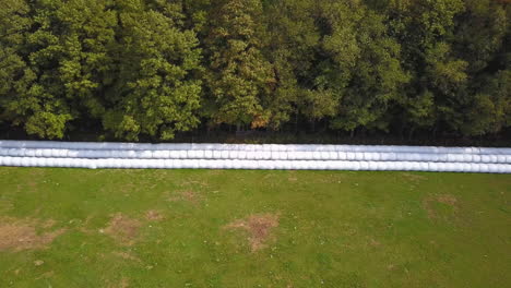 Aerial-view-rows-of-hay-bales-lined-up-on-a-farm-field