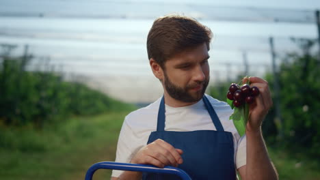 hombre del jardín sosteniendo frutas contra la vista de la plantación agraria en la temporada de cosecha.