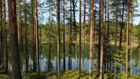 Vista-Aérea-Del-Lago-Y-El-Bosque-En-Finlandia.-Hermosa-Naturaleza-De-Finlandia.