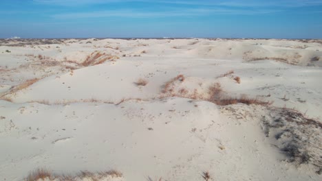 vista aérea, paisaje desértico, dunas y arbustos bajo un cielo azul en un día caluroso y soleado