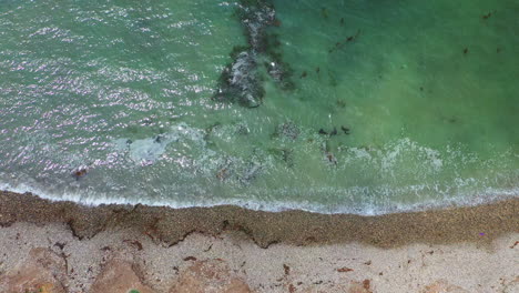 Straight-down-aerial-view-of-clear-turquoise-seawater-and-gentle-waves-breaking-on-a-sandy-beach