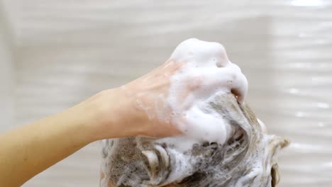 young happy woman washing her hair with shampoo, hands with foam closeup. body and hair hygiene, lifestyle concept.