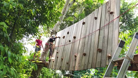 climbing wall activity in a forest adventure park