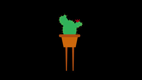 Una-Planta-De-Cactus-En-Maceta-Con-Hojas-Verdes-Icono-Concepto-De-Vídeo-De-Animación-En-Bucle-Con-Canal-Alfa