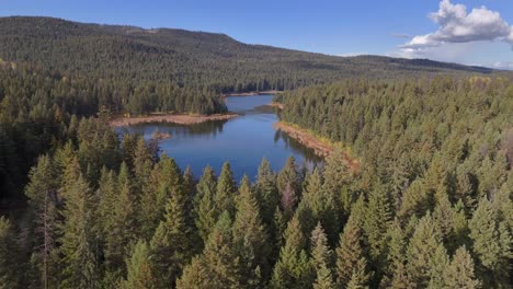 scenic aerial views of enchanted mcqueen lake in british columbia: an untouched spruce forest surrounding the serene waters