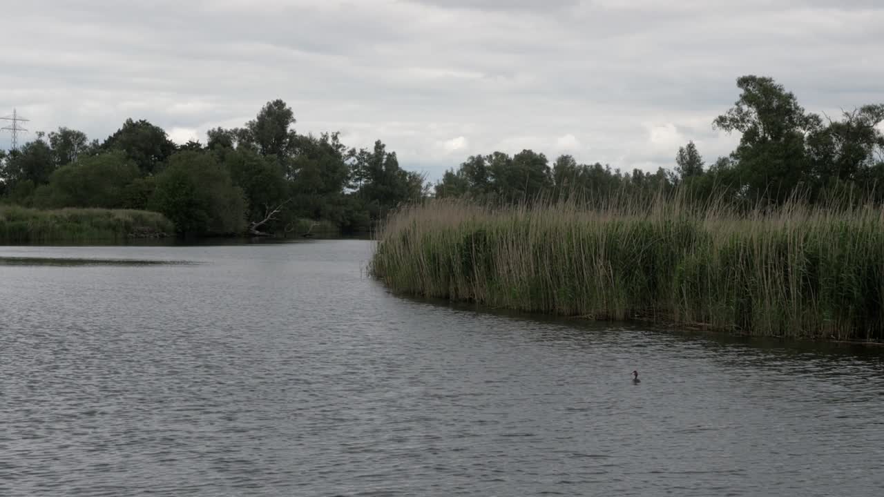 Nationalpark Biesbosch i Holland, sejlads gennem naturen.