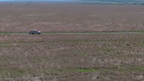 drone shot of off-road vehicle drives through grasslands in serengeti