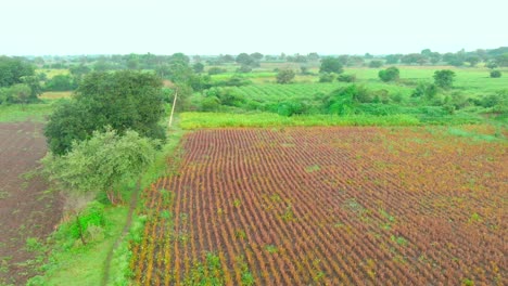 village near lature mahrashtra drone shot of farms and filds