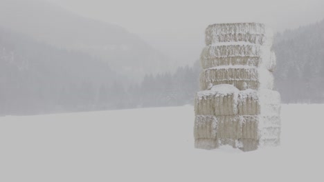 Montones-De-Heno-En-Una-Ventisca-De-Nieve