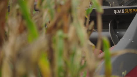 Combine-Harvester's-Head-Operating-and-Harvesting-Corn-in-Slow-Motion,-Closeup