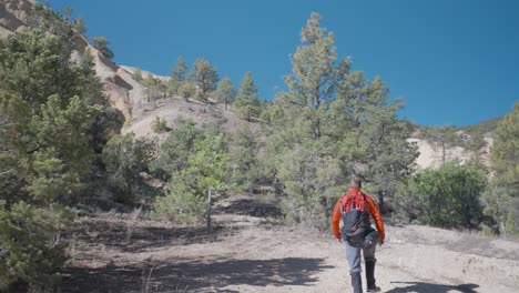 caminante en red jack senderismo con montañas de azufre del desierto de utah | gran montaña de caramelo de roca