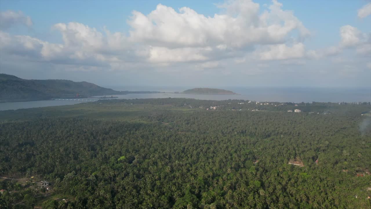 beautiful view hyperlaps above the coconut palm tree