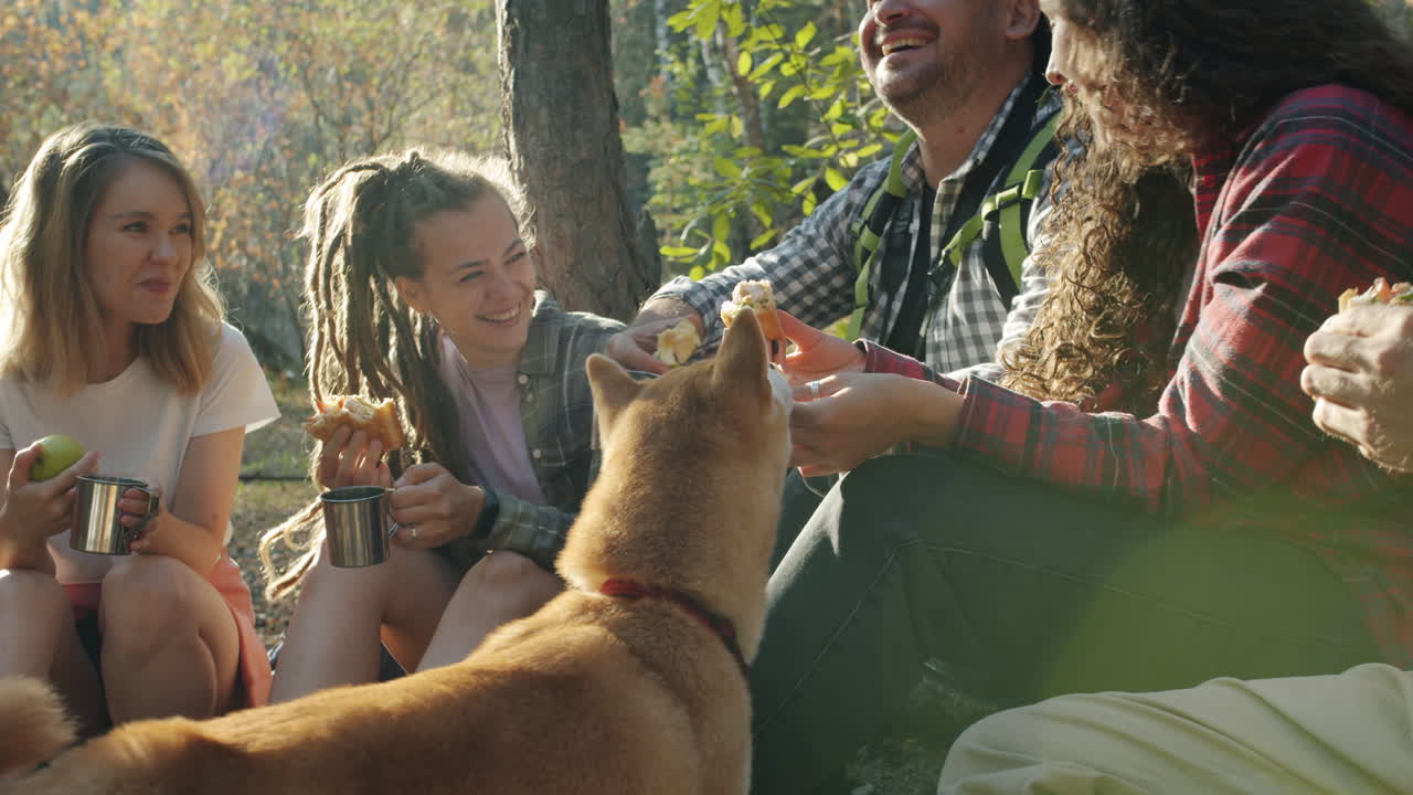 친구 들 이 숲 에서 피크닉 을 즐기고 있다