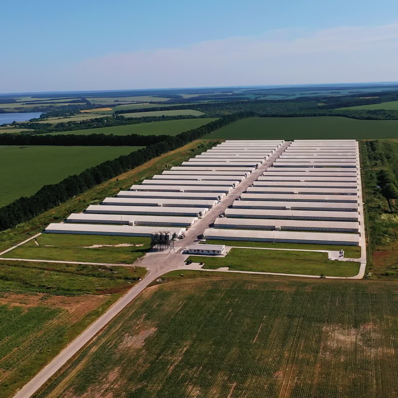 New modern farming complex located in the fields. White straight rows of farming barns. Beautiful nature landscapes at the background. View from above