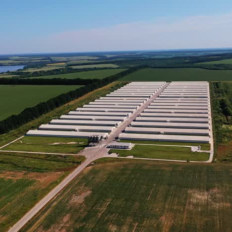 new modern farming complex located in the fields. white straight rows of farming barns. beautiful nature landscapes at the background. view from above