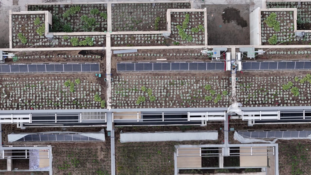 Green rooftops from above sustainable buildings under construction