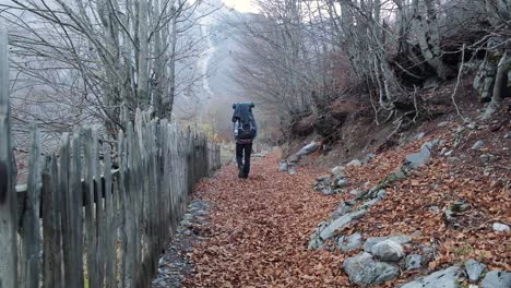 El-Famoso-Y-Hermoso-Valle-De-Valbona-En-Los-Alpes-Albaneses