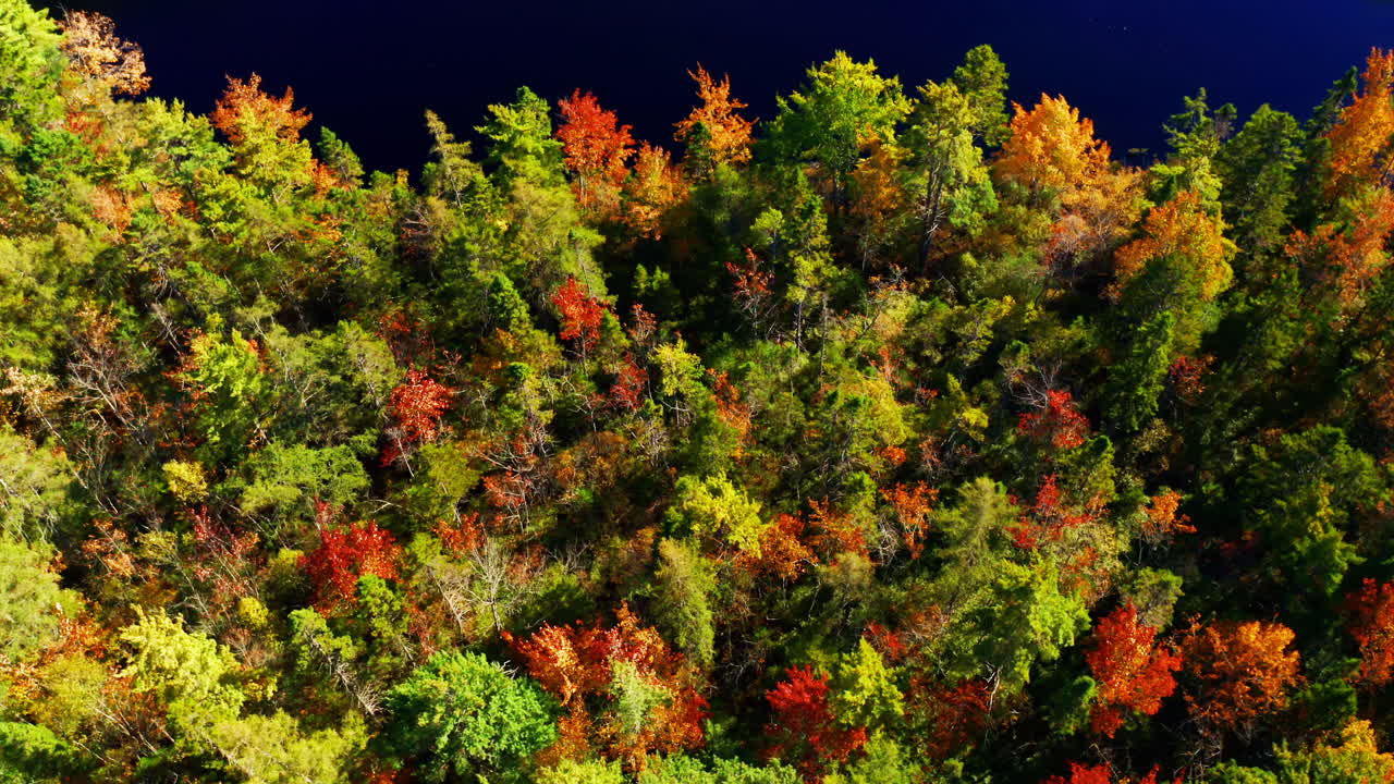 Autumn forest colors. Aerial drone shot over the picturesque landscape of Nova Scotia, Canada.
Bird's eye view of the colorful foliage. Vibrant tree leaves. Fall landscape.