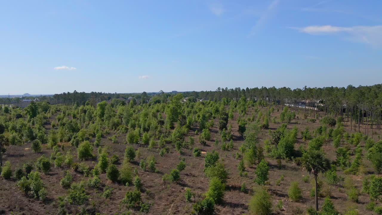 Uma vista de drone de pequenos arbustos ou árvores plantados para separar o tráfego e as estradas dos resorts.