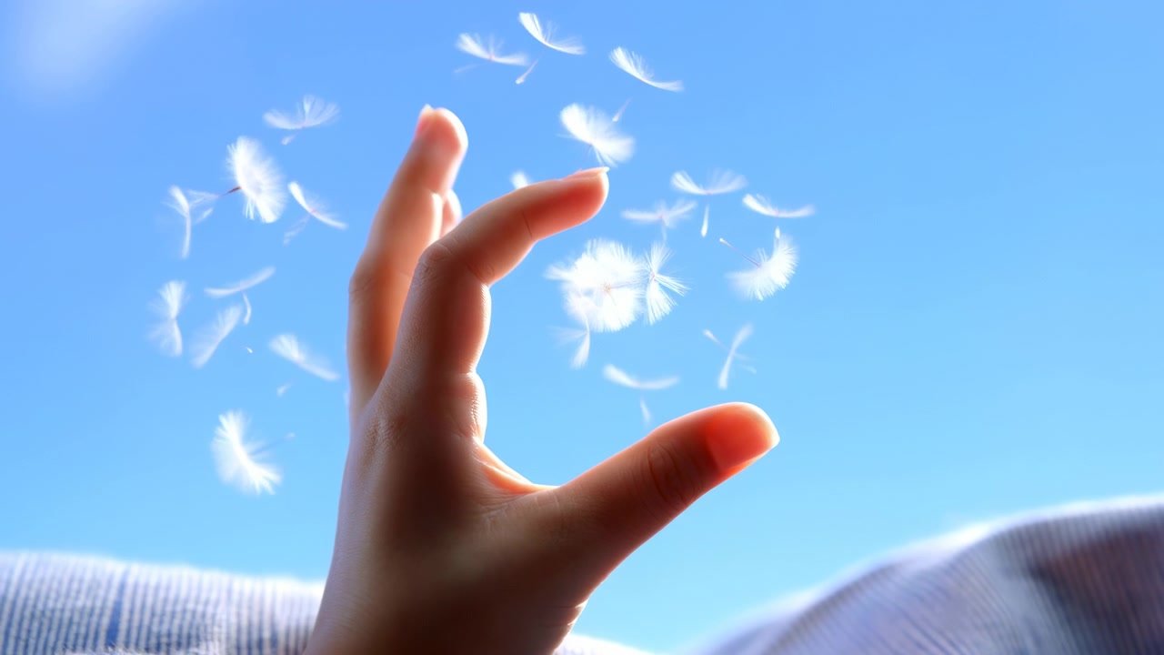 明るい青空に向かって舞い上がる白いタンポポの種を優しくつまんで放す人間の手のクローズアップ。柔らかな日差しとぼやけた背景。