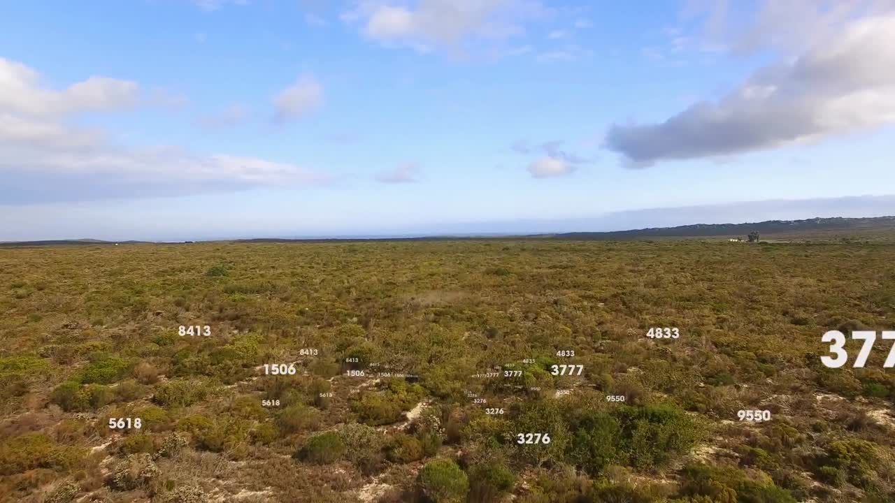 animación de redes de conexiones con números sobre el paisaje