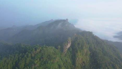 misteriosa toma aérea del paisaje forestal que crece en la montaña durante el día nublado en indonesia