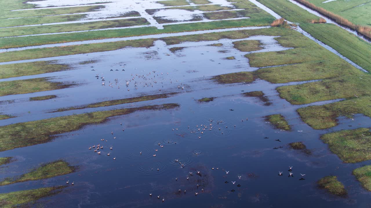 홍수 에 싸인 폴더 의 오리 들 의 공중 사진
