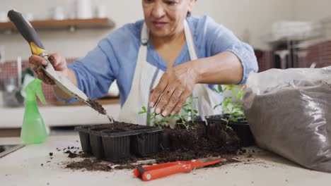 Sonriente-Mujer-Birracial-Senior-Con-Delantal-Y-Jardinería-Solo-En-La-Cocina