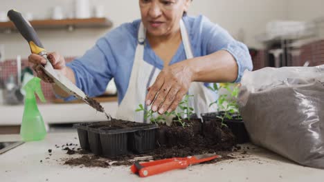 sonriente mujer biracial mayor con delantal y jardinería en la cocina sola