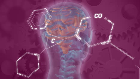 animación de la fórmula química y el procesamiento de datos sobre el cerebro digital y los engranajes en fondo púrpura