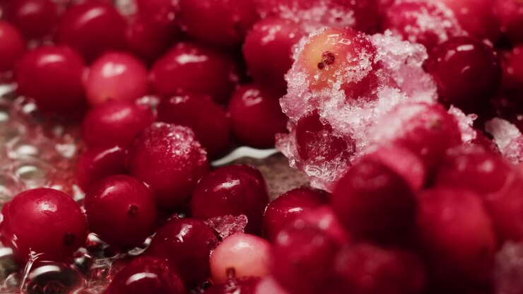 Frozen cranberries in snow for tea, Background Close up of cranberry berries in winter park, ice fridge macro.