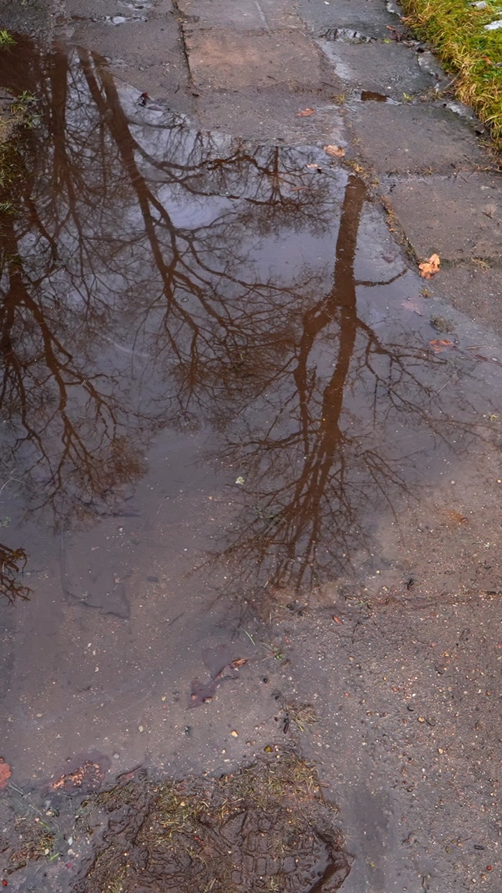 Vertical close-up of a large muddy puddle on cracked pavement with bare tree reflections, capturing melted snow, after-winter slush, and messy early spring ground conditions.