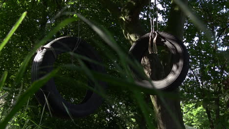 Un-Columpio-De-Neumático-Moviéndose-Suavemente-Con-El-Viento-Al-Borde-De-Un-Bosque,-ángulo-Bajo