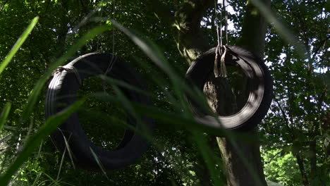 un columpio de neumático moviéndose suavemente con el viento al borde de un bosque, ángulo bajo