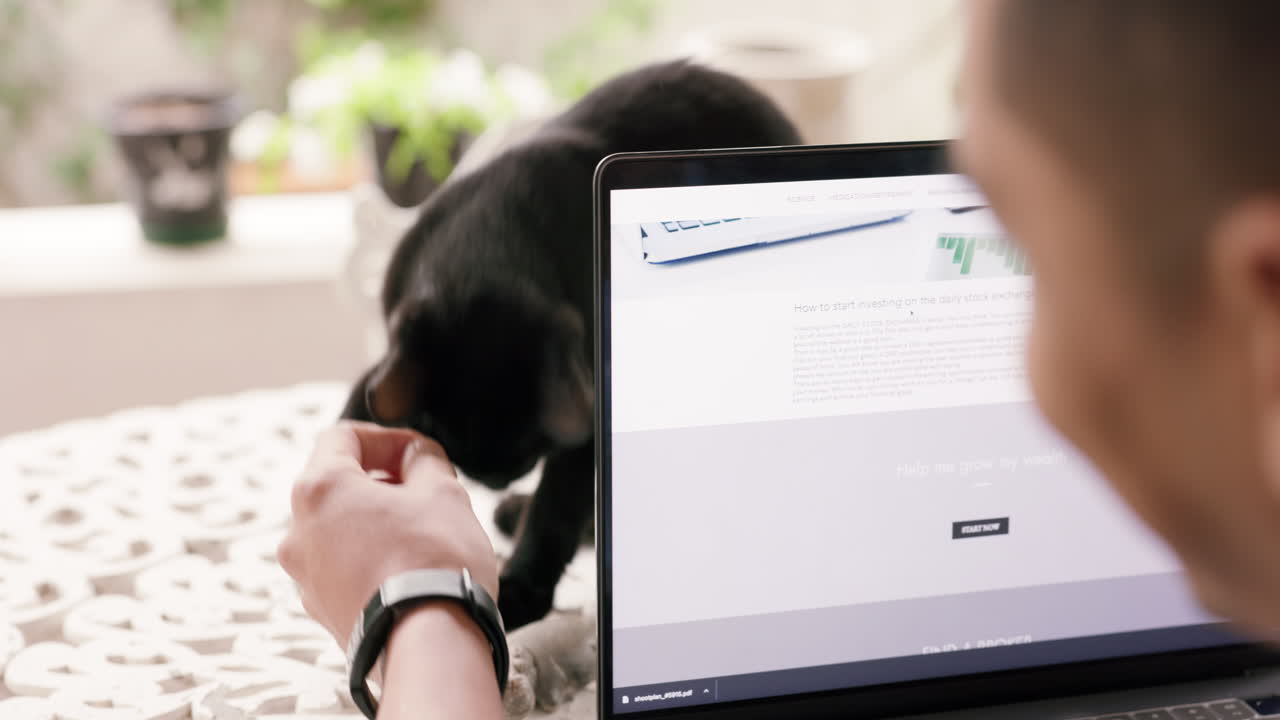 pantalla, portátil o hombre de negocios con gato