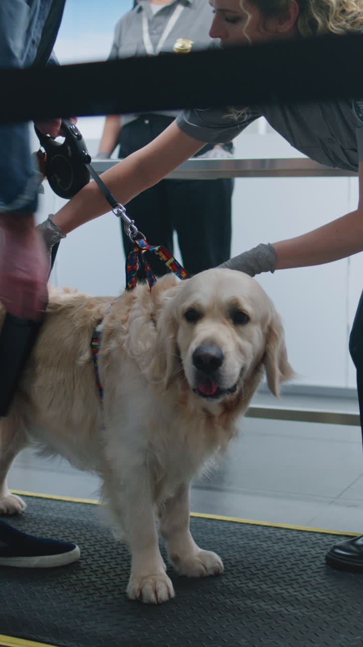 Airport Security Check with a Dog
