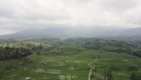 Drone-footage-of-the-rice-field-heritage-location,-Jatiluwih-in-Bali