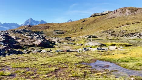 Libertad-De-Montaña:-Paisaje-Montañoso-De-Matterhorn-Cerca-De-Rotenboden-Y-Gornergart,-Suiza,-Europa-|-Moviéndose-Sobre-Hierba-Mojada-Y-Rocas-Altas