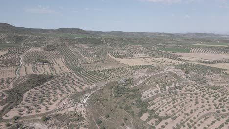 Vistas-Aéreas-De-Campos-De-Olivos