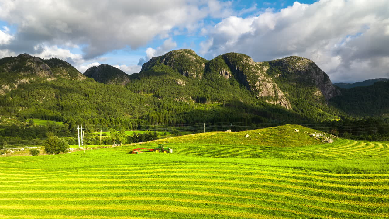 시라지 생산을 위해 녹색 작물을 자르는 트랙터의 공중 트럭 하이퍼  ⁇ 스