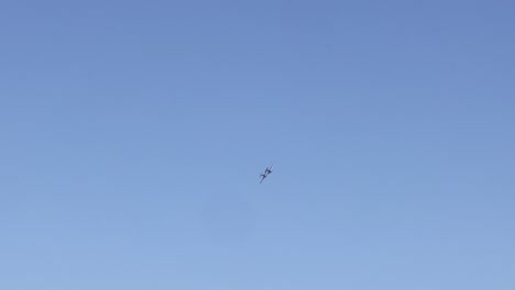 varios pájaros volando a través de un cielo azul segmentado