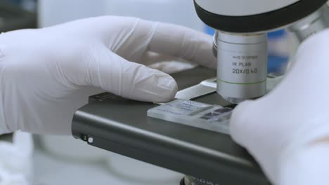 scientific process in action as a gloved researcher places a specimen slide for microscopic analysis.